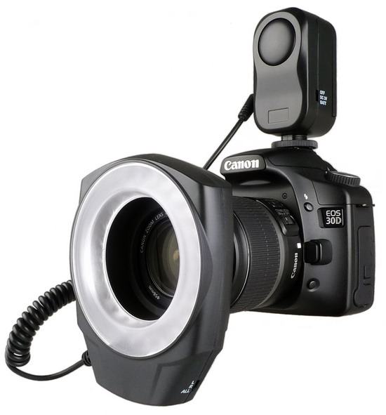 Foxfoto Ring48