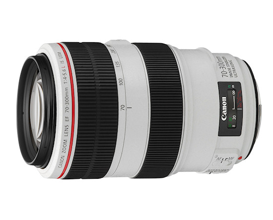 Canon EF 70-300 mm f/4-5.6 L IS USM