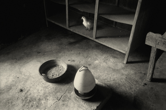 Leica Oscar Barnack Award 2011 - zwyci�zcy