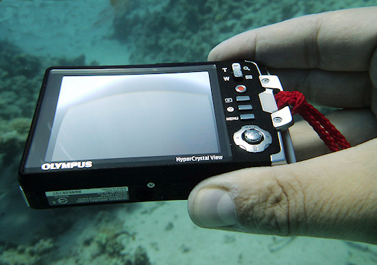 Test aparatw podwodnych 2011 - Olympus Tough TG-810