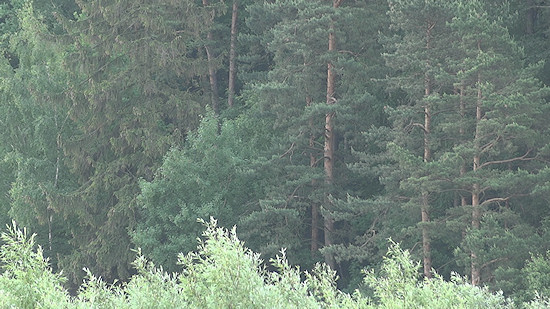 Wielkie filmowanie maym aparatem cz. 3 - Wielkie filmowanie maym aparatem
