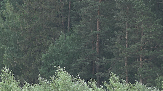 Wielkie filmowanie maym aparatem cz. 3 - Wielkie filmowanie maym aparatem
