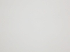 Fujifilm FinePix F550EXR - Optyka