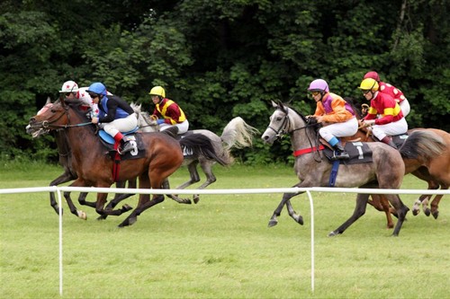 Warsztaty fotograficzne Sigma ProCentrum