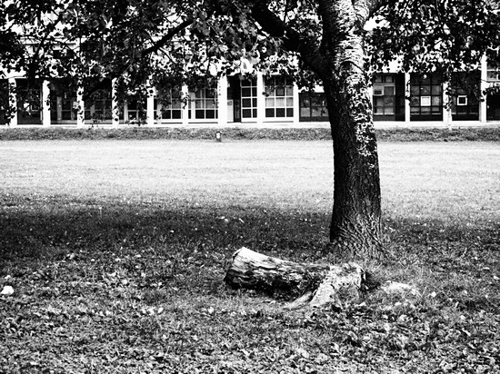 Olympus PEN w praktyce - fotografia uliczna - Olympus PEN w praktyce - fotografia uliczna