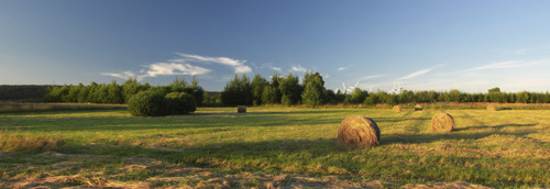 Kadrowanie zdj panoramicznych - Podejmowanie decyzji