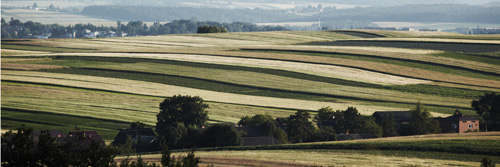 Kadrowanie zdj panoramicznych - Elementy kompozycji