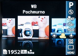 Kompakt pod choink 2011 - Olympus VR-310
