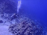 Test aparatw podwodnych 2011 - cz II - Olympus Tough TG-610