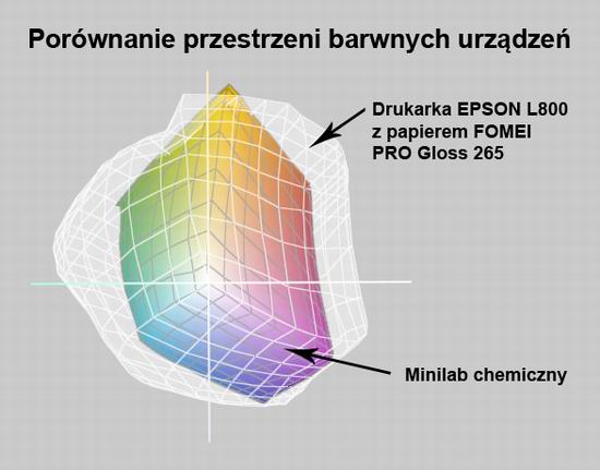 Drukarki fotograficzne Epson L800 na polskim rynku