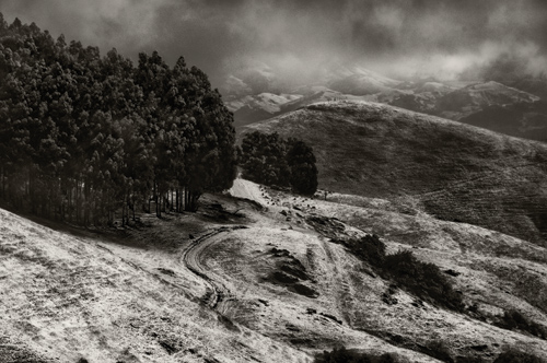 Czarno-biay kadr - Wizja monochromatyczna - Mylenie w czerni i bieli