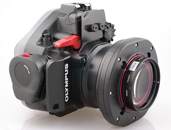 Olympus E-PL3 pod wod - Konwerter makro Olympus PTMC-01