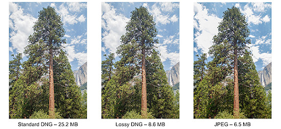 Adobe DNG wersja 1.4 Adobe DNG wersja 1.4