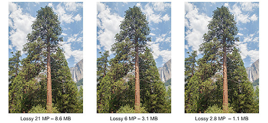 Adobe DNG wersja 1.4 Adobe DNG wersja 1.4