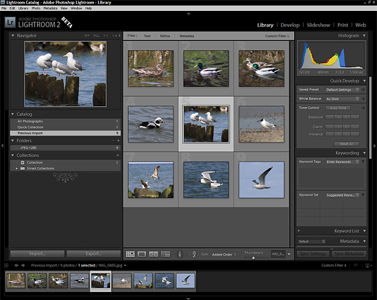 Adobe Photoshop Lightroom – wersja 2.0 Beta