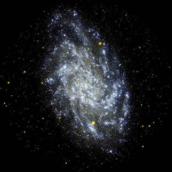 Niebo przez lornetk - Galaktyka Trjkta - M33