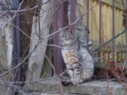 Olympus E-PM2 - Zdjcia przykadowe