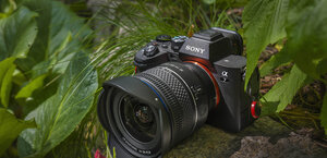 Samyang AF 14-24 mm f/2.8 FE w praktyce