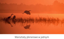 Biebrza na przedwioniu - warsztaty Samyang