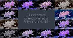 onOne Perfect Effects 8 do pobrania za darmo