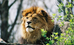 Safari z Sigm - spotkanie fotograficzne w warszawskim ZOO