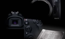 Canon EOS 7D Mark II - przewodnik po systemie AF