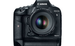 Canon EOS-1D X Mark II - zdjcia przykadowe