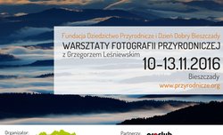 Listopadowe warsztaty fotograficzne w Bieszczadach