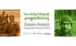 Listopadowe warsztaty fotografii przyrodniczej