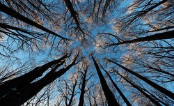 Bieszczady w obiektywie - tak byo na warsztatach Grzegorza Leniewskiego