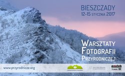Styczniowe warsztaty fotograficzne w Bieszczadach
