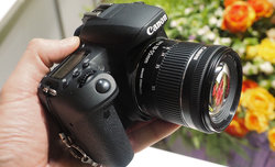 Canon EOS 77D i EF-S 18-55mm f/4-5.6 IS STM - przykadowe zdjcia