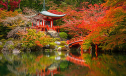 Japonia w kolorach jesieni - Fotomisja Optyczne.pl