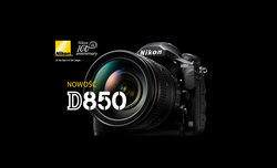 Dni otwarte z Nikonem D850 - tym razem w Katowicach