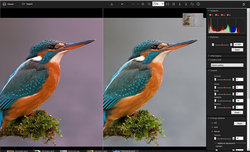 Sony Imaging Edge - z obs�ug� trybu Pixel Shift w A7R III