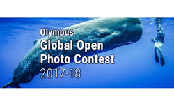 Olympus Global Open Photo Contest - atrakcyjne nagrody dla uczestników Olympus Global Open Photo Contest - atrakcyjne nagrody dla uczestników