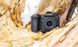 Panasonic Lumix G9 w fotografii przyrodniczej