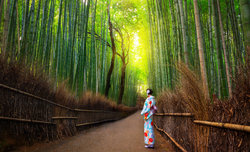 Fotomisja w Japonii potwierdzona