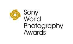 Poland National Award w ramach konkursu Sony