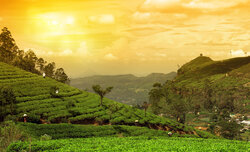 Fotomisja na Sri Lank