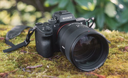 Sony FE 135 mm f/1.8 GM w naszych r�kach i zdj�cia przyk�adowe