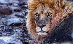 O Fujifilm GFX 50R na spotkaniu z Jackiem Boneckim