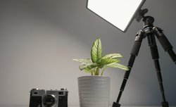 Newell Air 1100 - dla filmowc�w i fotograf�w