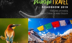 W czerwcu rusza nowy Olympus Roadshow 2019