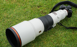 Sony FE 600 mm f/4 GM OSS - zdjcia przykadowe