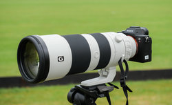 Sony FE 200-600 mm f/5.6-6.3 G OSS - zdjcia przykadowe