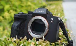 Sony A7R IV - zdjcia przykadowe