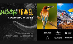 Olympus Roadshow 2019 - kolejne spotkania