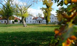 Festiwal Optyczny - padziernik 2019 - relacja