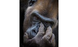 Tomasz Szpila nagrodzony w konkursie fotograficznym Glanzlichter Tomasz Szpila nagrodzony w konkursie fotograficznym Glanzlichter